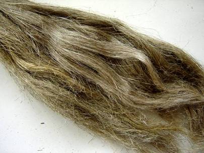 Hackled flax fibre