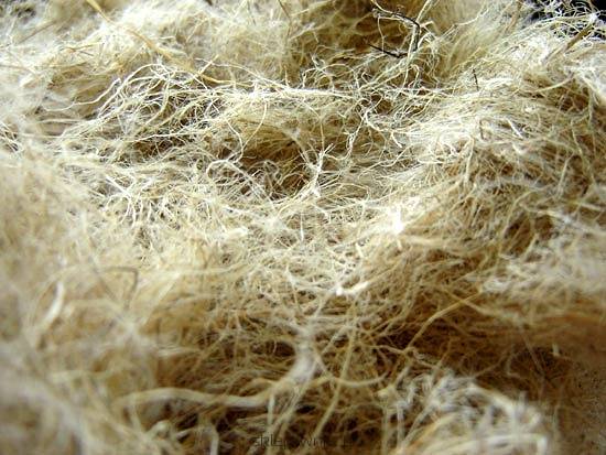 Decorticated hemp fibre